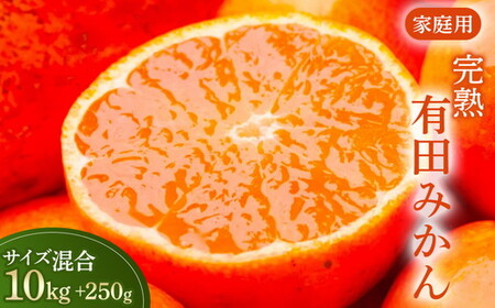 有田みかん 家庭用 完熟 10kg+250g（傷み補償分）サイズ混合 ｜ みかん