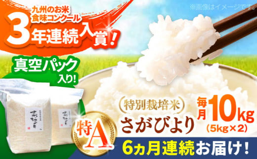 【令和6年産新米】【全6回定期便】【毎月配送】【九州米・食味コンクール3年連続入賞！】こだわりのさがびより 10kg（白米）【白浜農産】米 お米 特別栽培米 佐賀 白石 [IBL017]