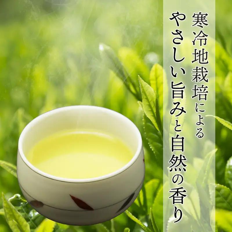 舞鶴茶 青柳（あおやぎ）2袋 600g /300g×2 | 緑茶 茶葉