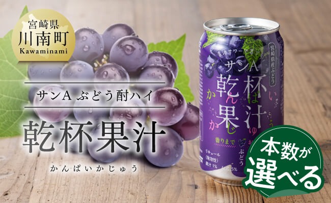※本数が選べる※サンA乾杯果汁ぶどう酎ハイ　350ml缶 【 飲料 酎ハイ お酒 ぶどう 宮崎県産 】 [C03023][C03024]