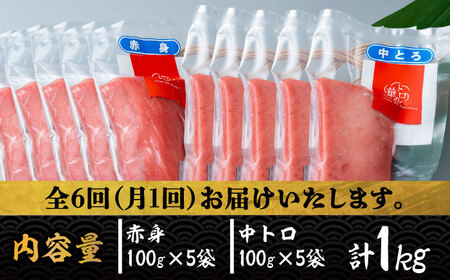 【全6回定期便】対馬産 本マグロ 1kg（赤身500g、中トロ500g） ≪対馬市≫【桐谷商店】 トロの華 対馬 新鮮 マグロ トロ 鮪 刺身 鮮度抜群[WAQ053]