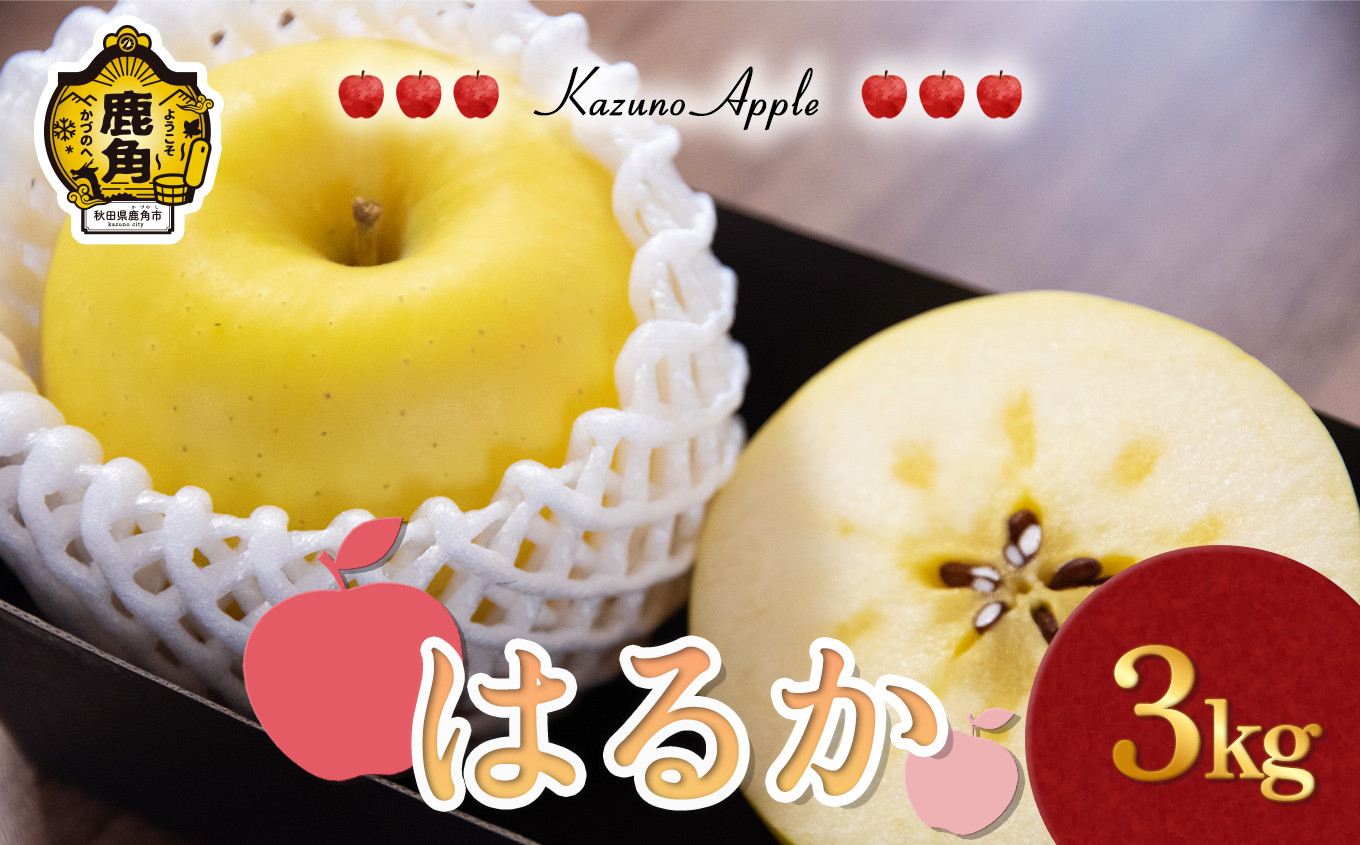 
                  《 先行予約 》鹿角 りんご「はるか」3kg（7～10玉前後）【佐藤秀果園】●2026年12月上旬発送開始 リンゴ 林檎 贈答用 果汁 完熟 旬 県産りんご お中元 お歳暮 贈り物 お見舞い グルメ ギフト 故郷 秋田 あきた 鹿角市 鹿角 送料無料
                