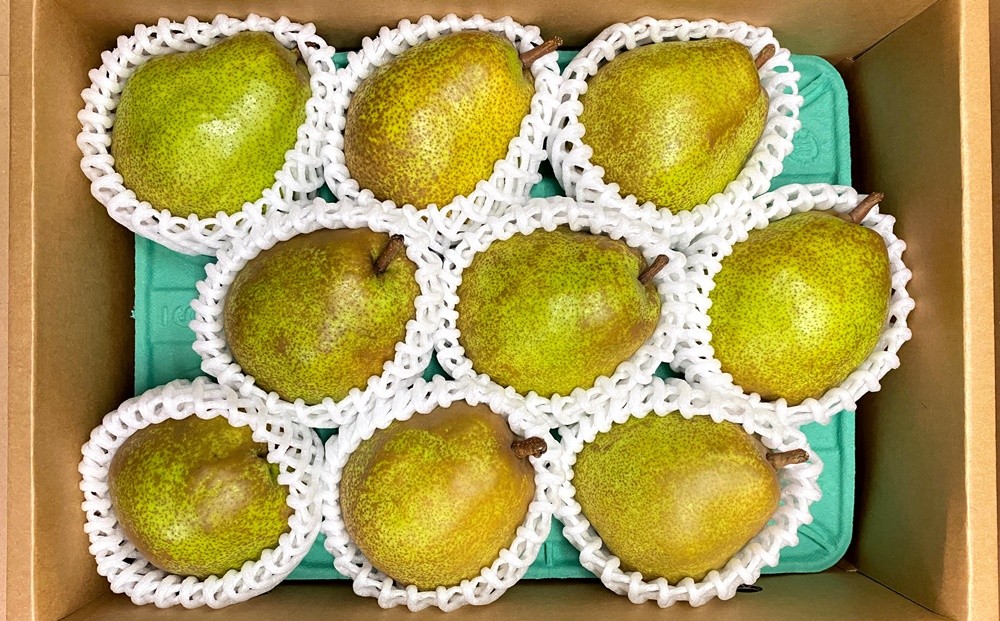 
                  西洋梨（ラ・フランス）３ｋｇ　ご家庭用　0065-2607
                