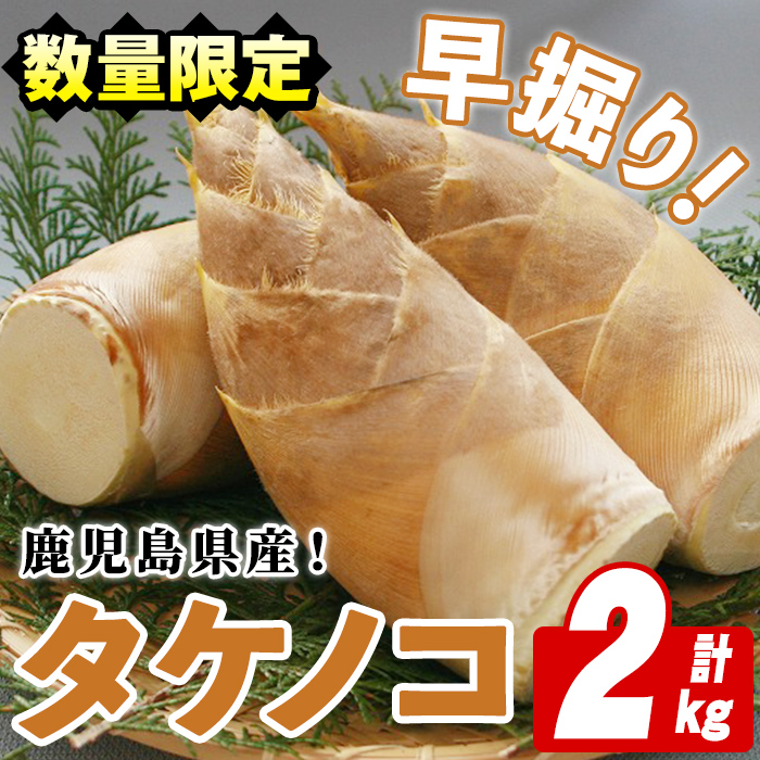 ＜2025年3月以降順次発送予定＞鹿児島県産！早掘りタケノコ(2kg) 国産 野菜 筍 たけのこ 竹 春 野菜 旬【鹿児島いずみ農業協同組合】a-18-11