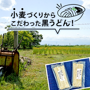 【細麺】黒うどん 250g 3袋 750g 乾麺 無農薬 うどん 