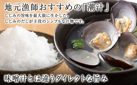 しじみ潮汁 9食入り（3パック）＜天塩の國＞ 即席 即席味噌汁 味噌汁 個包装 個装 簡単 インスタント レトルト