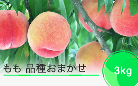 桃 品種おまかせ 3kg 2025年産 令和7年産 もも モモ 果物 フルーツ 果樹 ja-moxxx3 ※沖縄・離島への配送不可