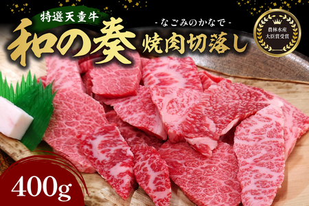 農林水産大臣賞受賞 特選 天童牛 " 和の奏 " 焼肉 切落し 400g 山形牛 和牛 牛肉 08-27-002