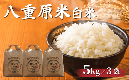 【寄附額改訂】令和8年新米予約！八重原米 白米【15kg】(5kg×3袋)　コシヒカリ 特A米 ※2026年10月以降順次発送｜笹屋農園「農薬削減長野県認証取得」　お米