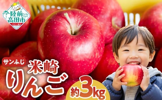 【先行予約】りんご ふじ 3kg 【 米崎りんご 数量限定 りんご リンゴ 林檎 旬 新鮮 産地直送 岩手 陸前高田 産地直送 新鮮 家庭用 】RT671
