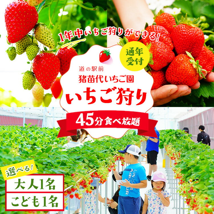 【ふるさと納税】＼レビュー投稿でお米プレゼント／【選べる大人・こども】いちご狩り 1年中 「道の駅前 猪苗代 いちご園」 チケット ｜ 苺 通年 猪苗代・会津地域