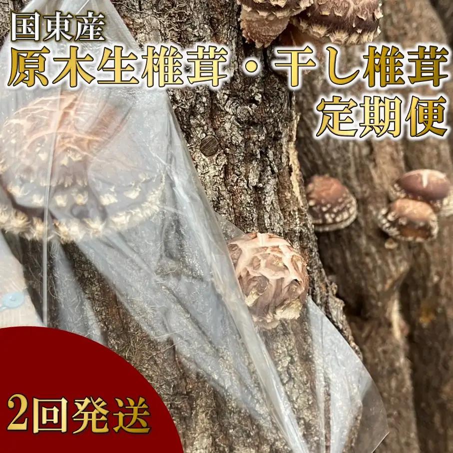 【先行予約】原木生椎茸と干し椎茸の定期便 計2回発送 しいたけ シイタケ 国産 大分県_2768R-1