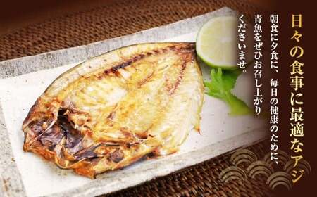 【全3回定期便】長崎産 真アジ一夜干し たっぷり21尾 ／ 海鮮 魚介 干物 ひもの あじ 鯵 アジ 長崎県 長崎市