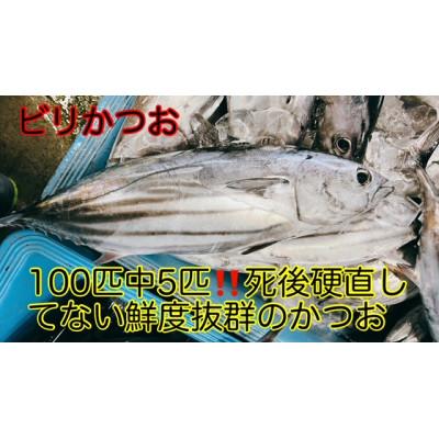 ふるさと納税 南国市 まず市場にはなかなか出ないもちもち釣れたて!ビリかつおわら焼きタタキ250g×4節(タレ・ニンニク付 |  | 02