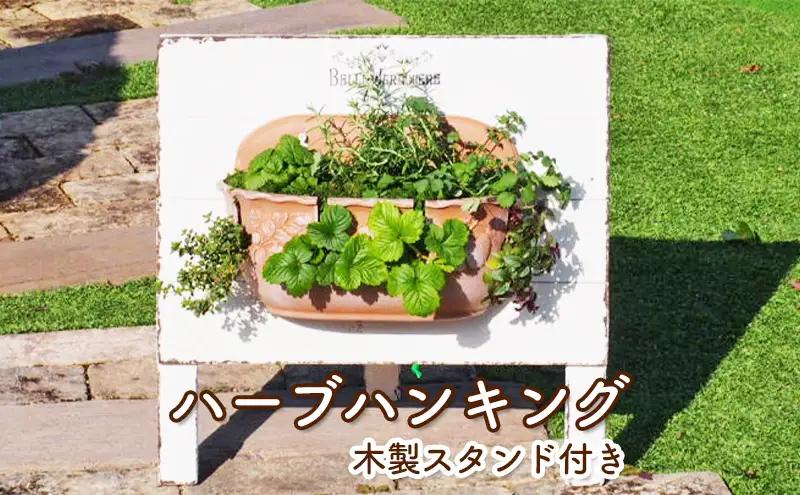 植物 ハーブのハンキング 木製スタンド付き ハーブ 植物