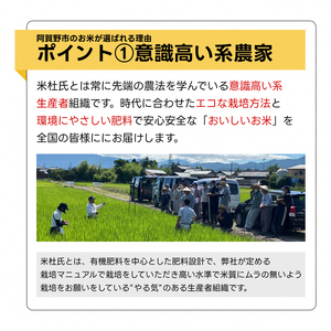 【新米】【9回定期便】米杜氏 新潟県阿賀野市産 特別栽培米コシヒカリ6kg（2kg×3袋）×9回 1H39117