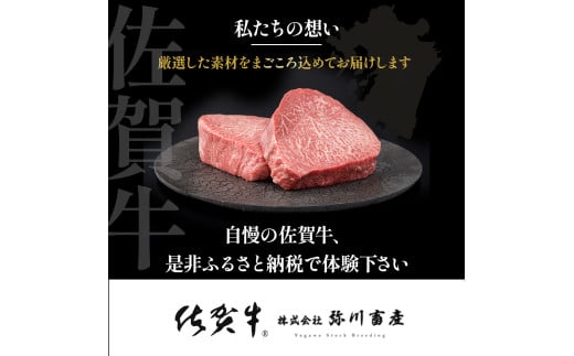 ZE-4 佐賀牛 ヒレステーキ 合計570g（3枚）