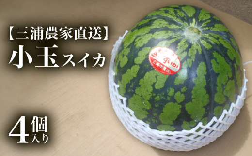 【三浦農家直送】小玉スイカ（4個入り）　M003-001
