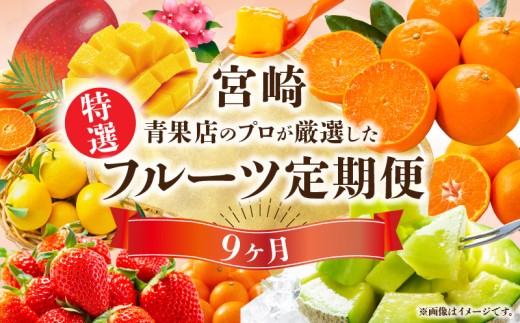 【数量・期間限定】特選！旬のフルーツ9ヶ月定期便vol.1 定期便 フルーツ 果物 青果 青果物 デザート スイーツ いちご 金柑たまたま せとか 露地日向夏 完熟マンゴー グリーンメロン 温室みかん 温州みかん 津之輝 金柑 柑橘 柑橘類 日向夏 マンゴー メロン みかん フルーツ定期便 果物定期便 旬の果物 旬のフルーツ 人気 おすすめ 宮崎県 宮崎市_M348-T002