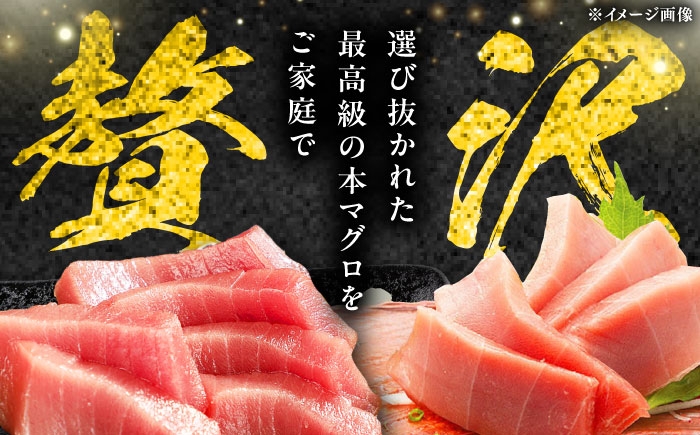 冷凍 マグロ まぐろ 中トロ 中とろ 鮪 本マグロ 赤身 ねぎとろ ネギトロ たたき トロ 刺身 海鮮 海産物 魚 柵 