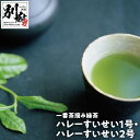 【ふるさと納税】一番茶摘み緑茶 ハレーすいせい1号（上煎茶）・ハレーすいせい2号（特上煎茶）