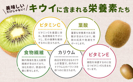 先行予約 キウイフルーツ ヘイワード 約4kg 松本果樹園《2026年12月中旬-2027年1月末頃出荷予定》茨城県結城市