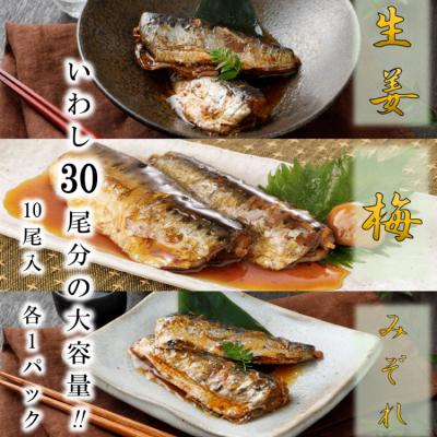 ふるさと納税 気仙沼市 12回 定期便 訳あり 業務用 いわし煮魚 総重量 約18kg [気仙沼市 20565565] |  | 01