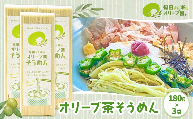 
            オリーブ茶そうめん3袋セット 《30日以内に出荷予定(土日祝除く)》 調味料 油 食用油 オリーブオイル オリーブ オイル オリーブ茶そうめん そうめん 熊本県 苓北町
          