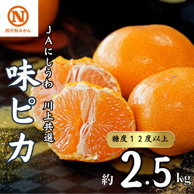 【ふるさと納税】JAにしうわの季節の柑橘(川上共選　味ピカ2.5kg)【C08-78】【1510453】