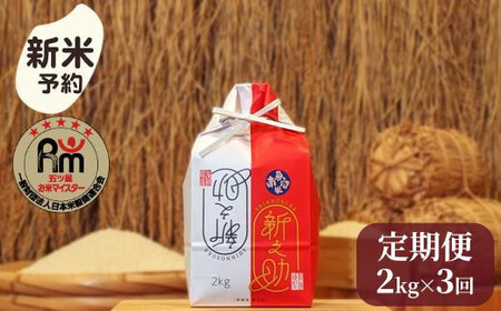 【新米予約】令和７年産「五つ星お米マイスター」の南魚沼産新之助　精米２kg×３回（毎月定期便）【2025年10月下旬より順次発送予定】