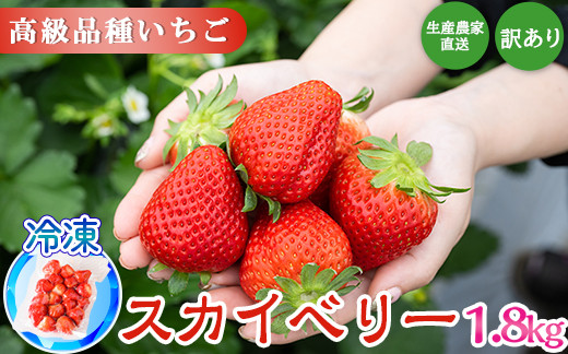 
生産農家直送高級品種☆無選別訳あり 冷凍 いちご 栃木県壬生町産スカイベリー1.8kg（300g×6）果物 フルーツ 苺 フレッシュ
