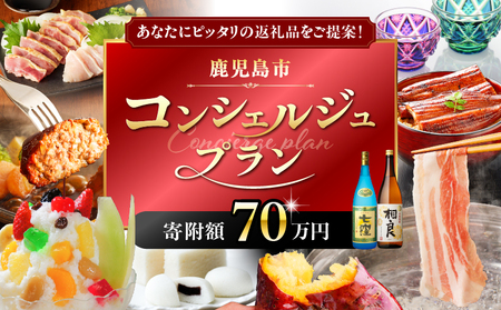 コンシェルジュ プラン 寄付額 70万円 コース　K000-CP070 おまかせ オーダーメイド 相談 人気 詰め合わせ 食品 お取り寄せ グルメ 肉 牛 豚 鶏 鰻 白熊 かるかん 切子 調味料 醤油 茶 鹿児島