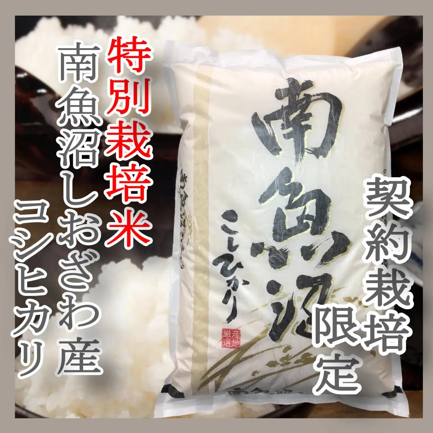 【令和7年】※定期便：8Kg×6ヶ月※特別栽培 生産者限定  南魚沼しおざわ産コシヒカリ｜こしひかり
