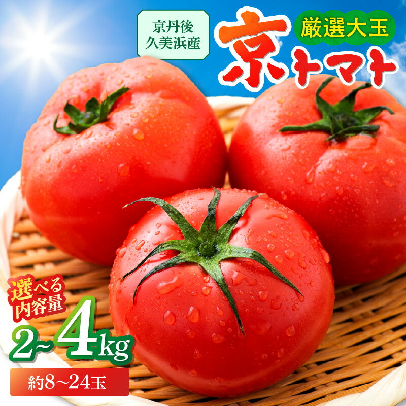 【ふるさと納税】高評価★5.0【先行予約】京都・京丹後産 京トマト 2kg (8～10玉) 4kg (12～24玉) 春夏発送（2026年5月中旬～発送）選べる 内容量 夏野菜 野菜 トマト 大玉 2きろ 4きろ 高糖度 濃厚 甘い 美味しい 完熟 とまと ふるさと納税 トマト JA京都 農協