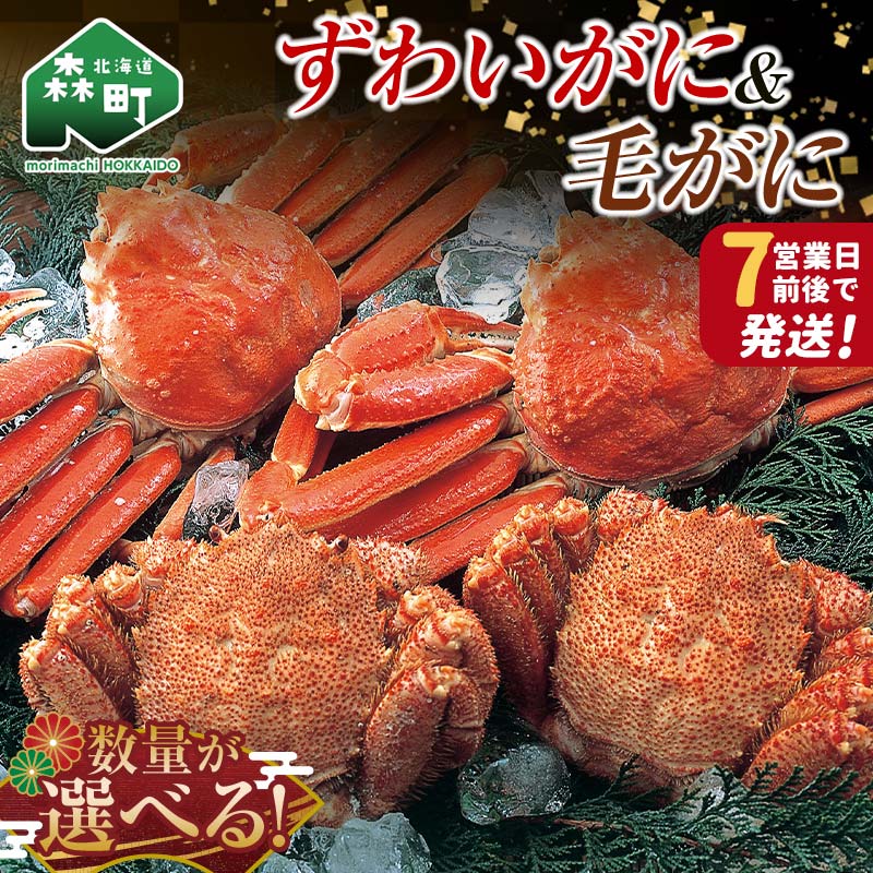 【ふるさと納税】＼容量が選べる／≪最短7営業日発送≫ ずわいがに毛がに2尾～4尾 かに カニ 蟹 ガニ 森町 北海道 毛蟹 毛かに 毛ガニ 毛カニ 北海道 ズワイカニ ズワイ蟹 ズワイガニ 食べ比べ　二大蟹 二大ガニ 二大がに mr1-1081var