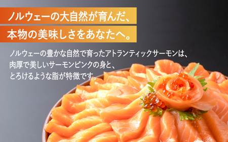 【最速発送】 アトランティックサーモン 450g ／ 小分け サーモン ジューシー 脂のり 甘い脂 とろける 深いコク 魚介 海鮮 魚 鮭 さけ サケ 刺身 魚介類 お取り寄せ お取り寄せグルメ 冷凍