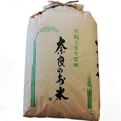 ふるさと納税 天理市 【令和8年10月中旬以降発送】ひのひかり(奈良県天理産)玄米30kg【令和8年産】(一等米)