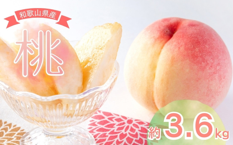 
            【先行予約】和歌山県産の桃 約3.6kg  (11～15玉入り)【2025年6月中旬頃から8月上旬頃順次発送予定】 / 和歌山 もも 桃 甘い ギフト 贈り物 プレゼント 夏ギフト 果物 フルーツ 人気 産地直送 和歌山県 お取り寄せ【mat100B】
          