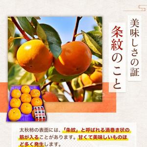益城町産 太秋柿 約2kg(益城町)【配送不可地域：離島】【1661736】