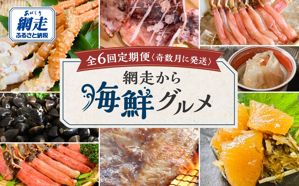 
                  【定期便】<奇数月に発送>網走から海鮮グルメ ほたて ズワイガニ等 全6回 【 ふるさと納税 人気 おすすめ ランキング ほたて 帆立 ズワイ タラバ 蟹 カニ イカ ほっけ シジミ しじみ 松前漬け 冷凍 海鮮丼 定期便 オホーツク 北海道 網走市 送料無料 】 ABAO076
                