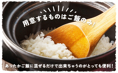 百年続く「村のまかない飯」いり飯のもと 3合 (3-4人前) 3パック 村のごちそう宮商店 《30日以内に出 荷予定(土日祝除く)》ご当地グルメ ごはんのお供 ご飯に混ぜるだけ 徳島 郷土料理 混ぜ込