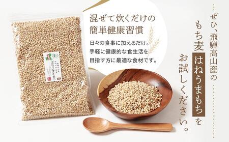 飛騨高山で有機栽培した「もち麦」はねうまもち 1kg | もち麦 雑穀 もち麦 JC016