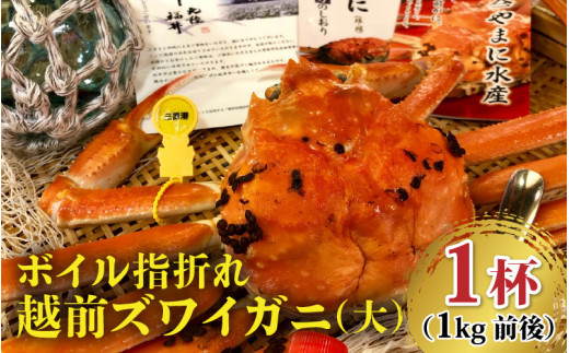 【先行予約】名人が茹でる 指折れ訳あり越前がに(大)1杯 1kg前後 やまに仕込み【1月発送分】 [K-4303_01]