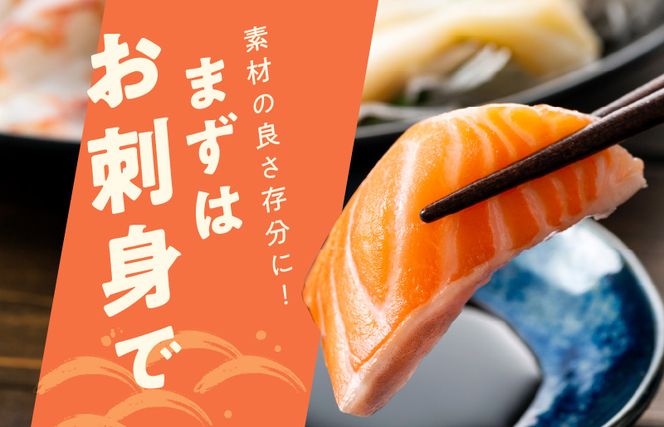 アトランティックサーモン ポーション 370g【小分け 2パック 訳あり サイズ不揃い 刺身 海鮮丼 サラダ 鮭 さけ シャケ しゃけ sake 人気 オススメ 冷凍】 010B1535