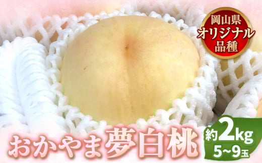 【2025年7月発送】 【先行予約】 もも 白桃 岡山 おかやま夢白桃 約2kg 5~9玉 《2025年7月中旬-8月上旬頃出荷》岡山県産 岡山の桃 ブランド桃 甘い なめらか 旬 果物 フルーツ 先行予約