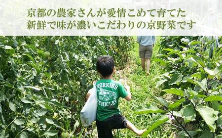 〈4ヶ月定期便〉【アスカ有機農園】旬のこだわり京野菜セットS