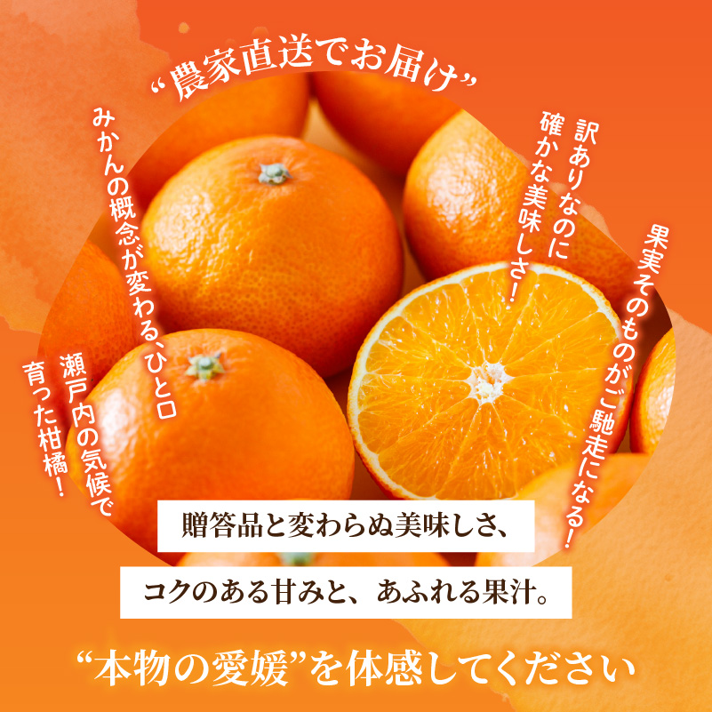 愛果28号 (紅まどんな と同品種) ご家庭用 2.5kg 【先行予約 2026年11月下旬より順次発送】 | 訳あり 愛果 あいか みかん まどんな マドンナ ワケアリ 柑橘 みかん 果物  おすす