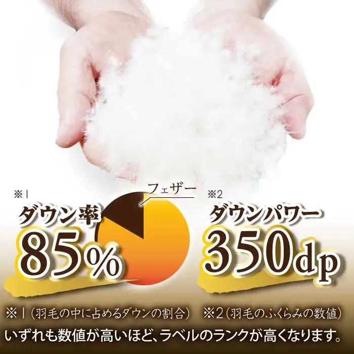 【訳あり】【 糸島 羽毛 ふとん 】羽毛 布団 柄おまかせ ダウン85％【ダブル】糸島市 / 株式会社三樹  [AYM005] 本掛け 羽毛布団