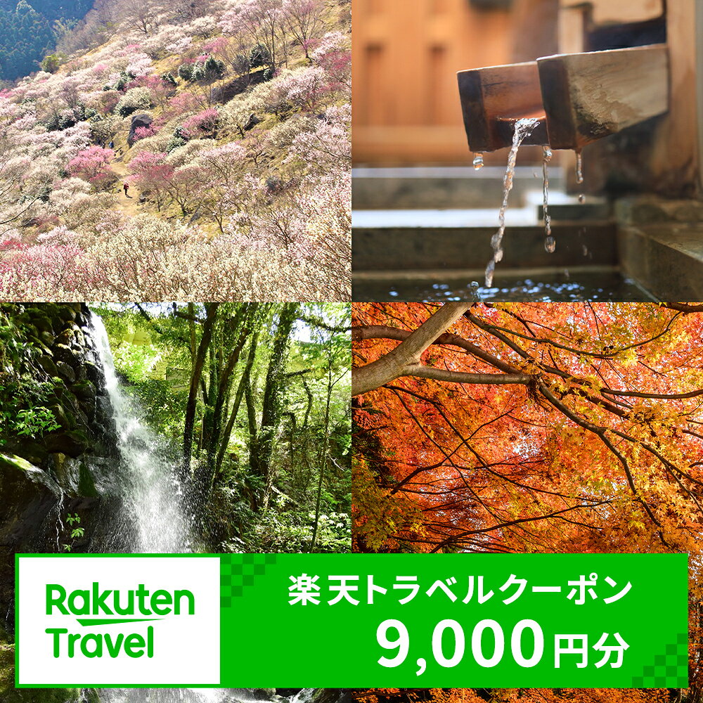 【ふるさと納税】神奈川県湯河原町の対象施設で使える楽天トラベルクーポン　寄付額30,000円