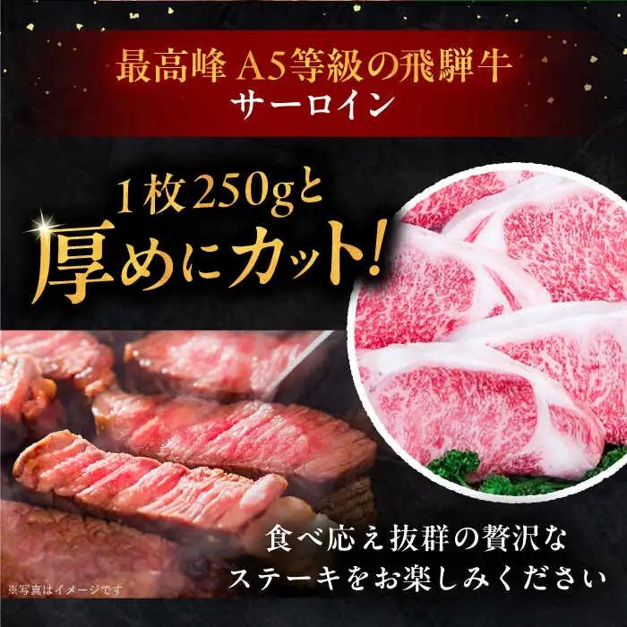 【6回定期便】 飛騨牛 サーロインステーキ (A5ランク) 1パック (250g×2枚) / 恵那市 / 岩島屋 [AUAJ028]